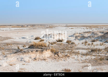 Sale di Etosha Pan, il Parco Nazionale di Etosha, Namibia Foto Stock