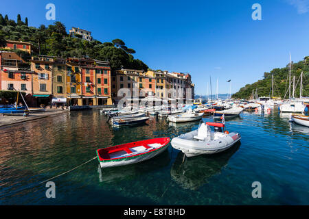 Le barche nel porto, Portofino, Regione di Paraggi, la Riviera Italiana, Golfo di Genova, liguria, Italy Foto Stock