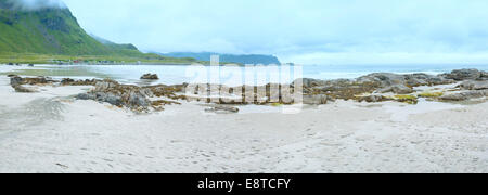 Estate nuvoloso vista della spiaggia con sabbia bianca e alga su pietre in Ramberg (Norvegia, Isole Lofoten). Foto Stock