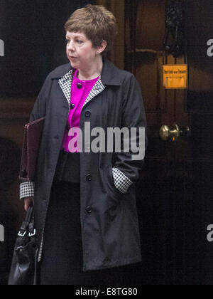 Westminster London,UK. Il 14 ottobre 2014. La baronessa Stowell lascia Downing street dopo il settimanale riunione del gabinetto. Credito: amer ghazzal/Alamy Live News Foto Stock