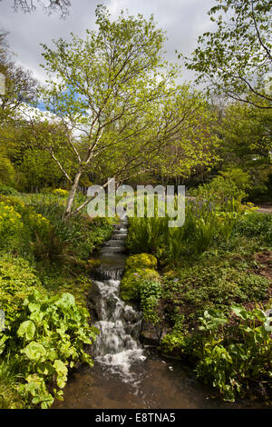 Regno Unito, Inghilterra, Devon, grande Torrington RHS Rosemoor Gardens, a cascata Foto Stock