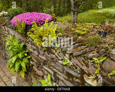 Regno Unito, Inghilterra, Devon, grande Torrington RHS Rosemoor giardini, cucina parete da giardino Foto Stock