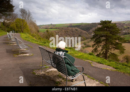 Regno Unito, Inghilterra, Devon, grande Torrington, in pendenza ripida nel bosco di fiume Torridge Valley Foto Stock