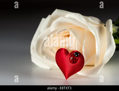 Valentines decorazione di rosa bianca e un cuore rosso Foto Stock