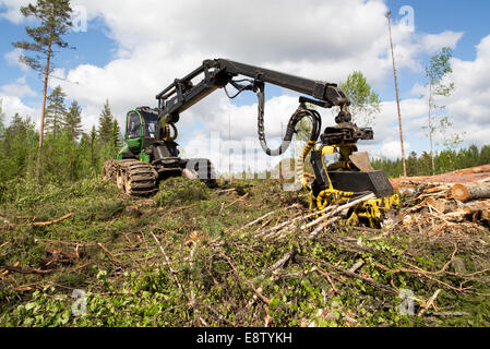 John Deere 1170E Trincia forestale e i registri a Cancella area di taglio , Finlandia Foto Stock