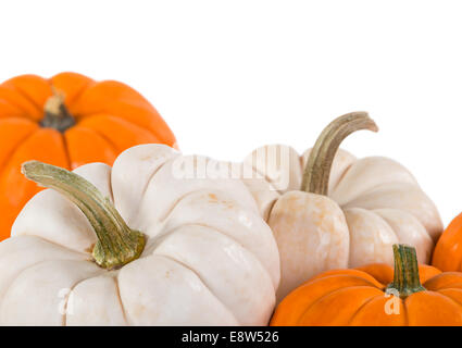 Primo piano della mini zucche su sfondo bianco Foto Stock