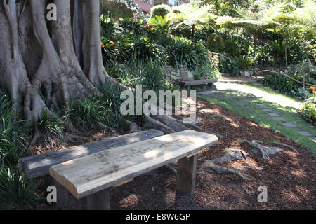 Wendy Whiteley giardino, Lavender Bay Foto Stock