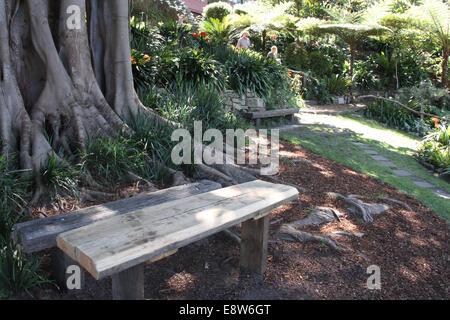 Wendy Whiteley giardino, Lavender Bay Foto Stock