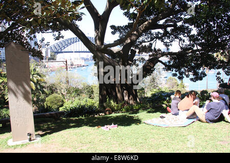 Wendy Whiteley giardino, Lavender Bay Foto Stock