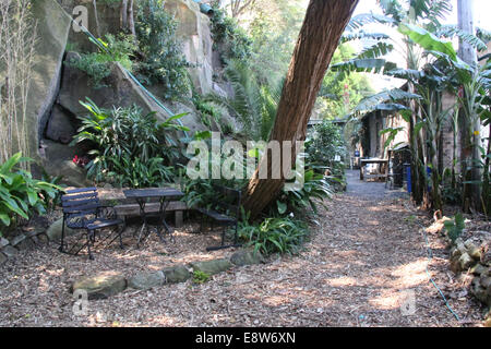 Wendy Whiteley giardino, Lavender Bay Foto Stock