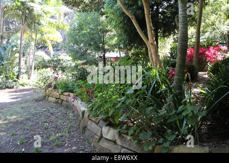 Wendy Whiteley giardino, Lavender Bay Foto Stock