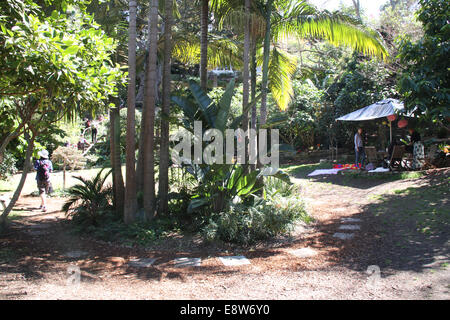 Wendy Whiteley giardino, Lavender Bay Foto Stock