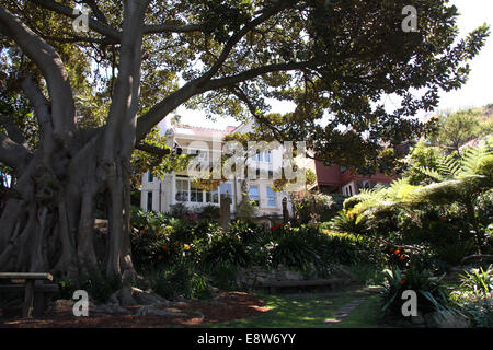 Wendy Whiteley sorge sul suo balcone su cui si affaccia la Wendy Whiteley giardino in Lavender Bay, Sydney. Foto Stock