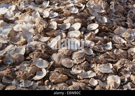 Whitstable Kent Foto Stock