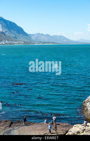 La gente a guardare le balene crogiolarsi nella baia di Hermanus, Western Cape, Sud Africa Foto Stock