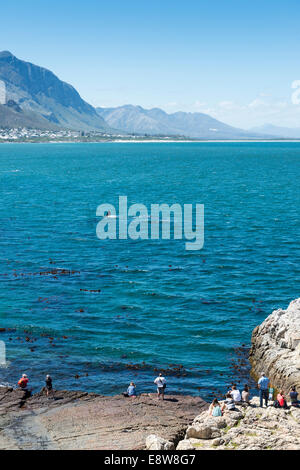 La gente a guardare le balene crogiolarsi nella baia di Hermanus, Western Cape, Sud Africa Foto Stock