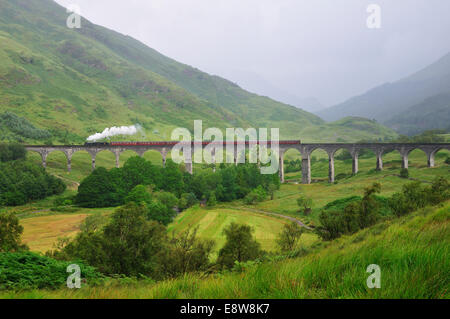 Il giacobita, treno a vapore, che viaggiano sul viadotto Glenfinnan, reso famoso in Harry Potter film, Ross, Skye e Lochaber Foto Stock