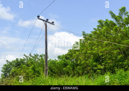 Nigeria rurale che mostra scarsa elettrificazione e scarso accesso all'energia Foto Stock