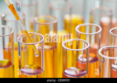 Close up di pipette gocciolamento la soluzione nella provetta in rack in laboratorio Foto Stock