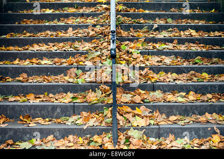 Lettiera a foglia sulla proprietà del consiglio  Scale di accesso riempite di foglie autunnali ottobre a Liverpool, Merseyside, Regno Unito Foto Stock