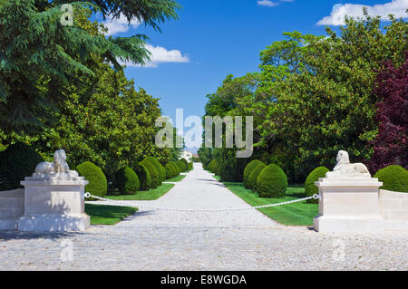 Il percorso che conduce attraverso il Château d'Armailhac park a Chateau Mouton Rothschild, in una limpida giornata di sole Foto Stock