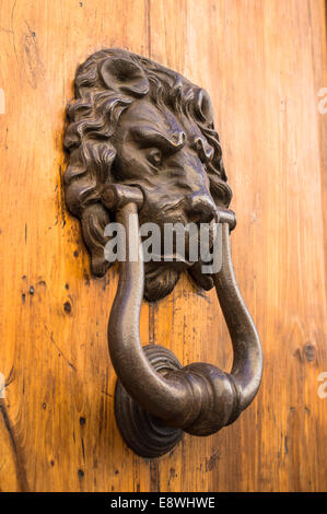 Porte con porta respingente a forma di testa di leone Foto Stock