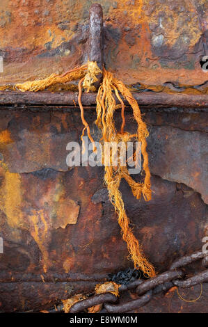 Metallo arrugginito catena spiovente Foto Stock