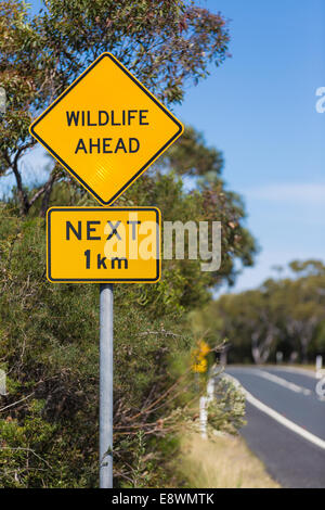 Un 'Wildlife Ahead' segno accanto a un remoto Foto Stock