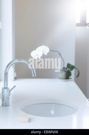 Lavandino, contatore, barra di sapone e fiore in bagno moderno Foto Stock