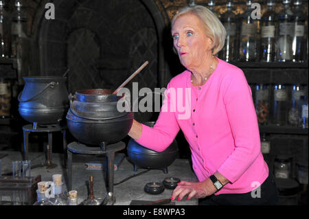 Studi di Leavesden, Hertfordshire, Regno Unito. 14 ottobre, 2014. Maria Berry presso l'Harry Potter Studio Tour di lancio 'Dark Arti' attrezzo permanente a Leavesden Studios, Hertfordshire il 14 ottobre 2014 . Credito: KEITH MAYHEW/Alamy Live News Foto Stock
