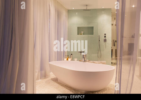 Vasca e doccia in bagno moderno Foto Stock