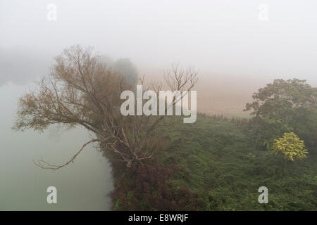 Fiume Tevere in autunno con nebbia (Italia) Foto Stock