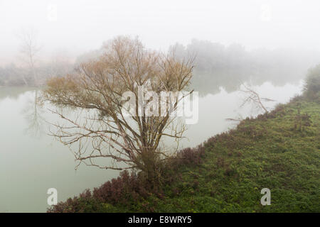 Fiume Tevere in autunno con nebbia (Italia) Foto Stock