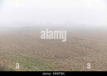 Fiume Tevere in autunno con nebbia (Italia) Foto Stock