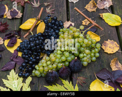 Frutti d'autunno: Uva e fichi su un tavolo in legno e foglie di autunno Foto Stock