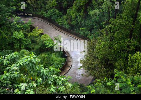 Una pioggia inzuppato Street Luge via scolpisce attraverso la foresta pluviale tropicale di un giro di divertimenti sull'Isola di Sentosa, Singapore Foto Stock