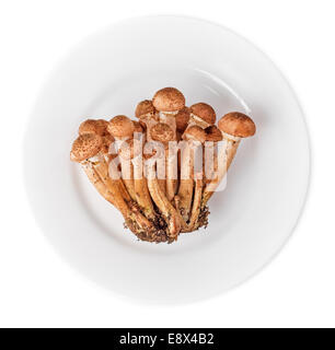 Armillaria, miele fungo, miele agarics nella piastra isolata su sfondi bianchi Foto Stock