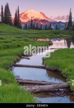 Il Parco Nazionale del Monte Rainier, WA: Alba la luce sul Monte Rainier da Upper Tipsoo Lake Foto Stock