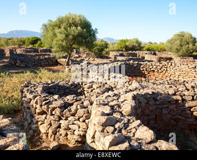 Antica megalitico di Serra Orrios villaggio nuragico in Sardegna, Italia Foto Stock