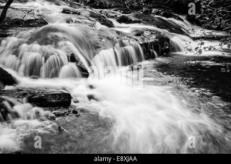 Aira Beck nella parte superiore scende al di sopra di Aira Force, vicino Dockray, Lake District, Cumbria Foto Stock