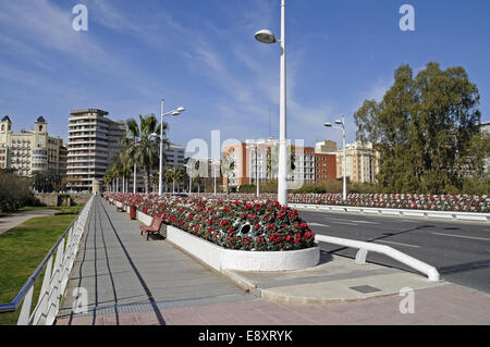 Puente de las Flores Foto Stock