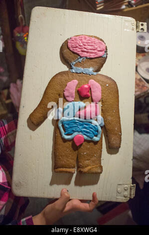Gingerbread Man che mostra l'anatomia umana Foto Stock