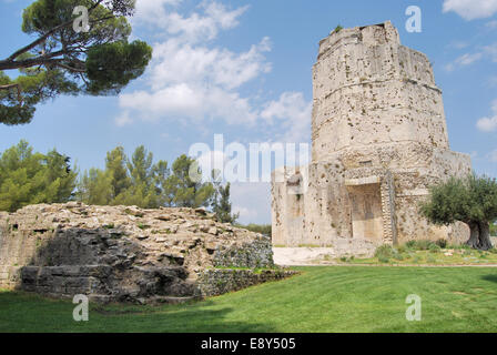 Tour Magne Foto Stock