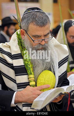 Religiosa ebraica benedizione uomo il esrog e Lulv in una sinagoga di Brooklyn, NY durante la festa ebraica di Sukkot. Foto Stock