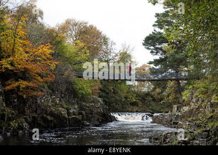 Walker godendo la vista dal ponte Wynch in autunno, Teesdale superiore della Contea di Durham Regno Unito Inghilterra Foto Stock