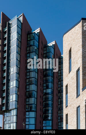 Islington Wharf e Islington Wharf Mews (a destra) blocchi di appartamenti, New Islington, Ancoats, Manchester, Inghilterra, Regno Unito Foto Stock