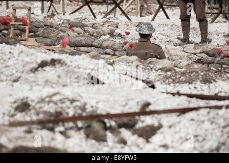 Un WW1 soldato britannico nel periodo uniforme e Tin Hat in piedi in una trincea di ricreazione con sacchi di sabbia e papavero rosso. Foto Stock