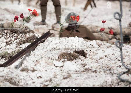 Un WW1 soldato britannico nel periodo uniforme e Tin Hat in piedi in una trincea di ricreazione con sacchi di sabbia e papavero rosso. Foto Stock