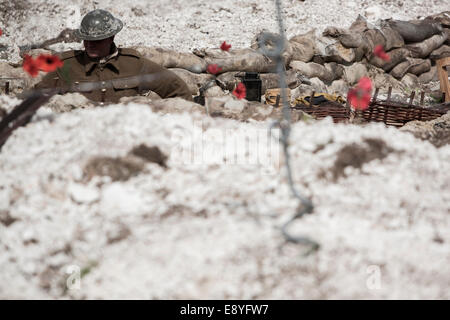 Un WW1 soldato britannico nel periodo uniforme e Tin Hat in piedi in una trincea di ricreazione con sacchi di sabbia e papavero rosso. Foto Stock