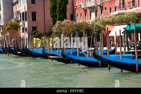 Gondole a Venezia Foto Stock